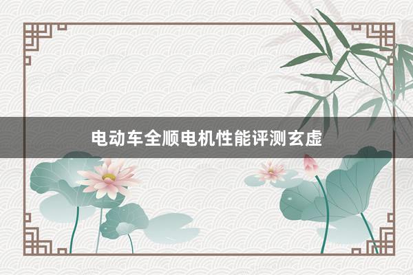 电动车全顺电机性能评测玄虚