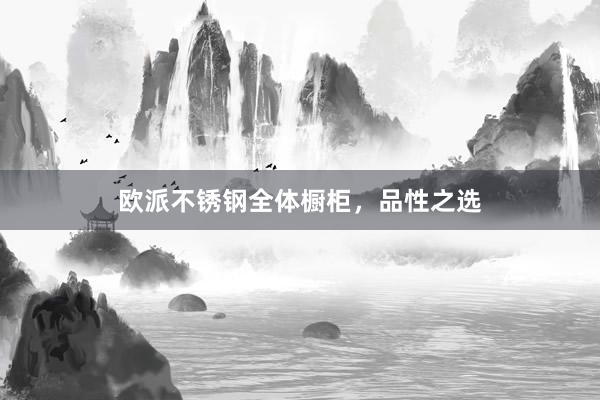 欧派不锈钢全体橱柜，品性之选